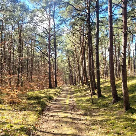 Baltic Park 500m Do Morza W Stegnie *