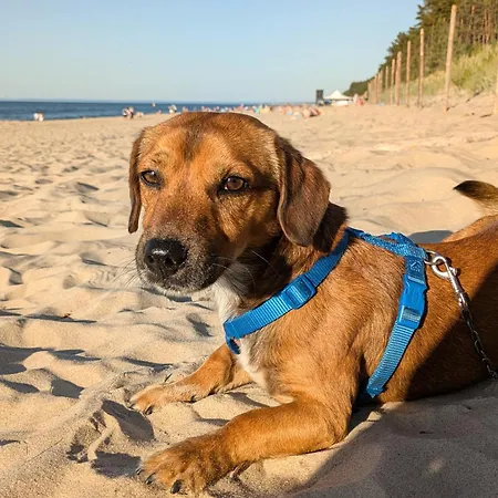 Baltic Park 500m Do Morza W Stegnie *