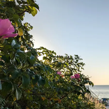 Baltic Park 500m Do Morza W Stegnie Stegna (Pomerania)