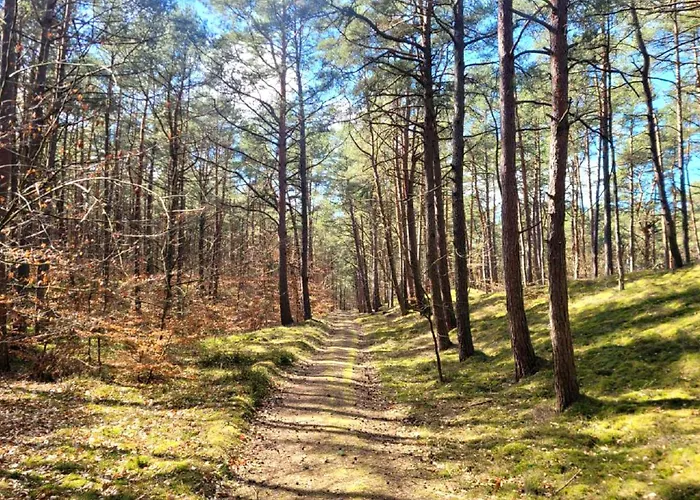 Baltic Park 500m Do Morza W Stegnie *