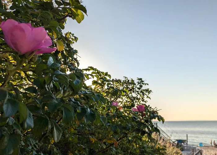 Baltic Park 500m Do Morza W Stegnie Stegna (Pomerania)